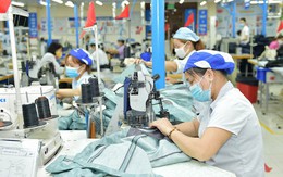 "Cuộc thử lửa" khốc liệt với ngành dệt may